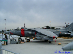 MCDONNELL DOUGLAS/BAE AV-8B "HARRIER II"