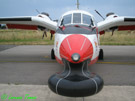 Piaggio P.166DL-3 SEM