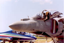 MCDONNELL DOUGLAS-BAE AV-8B+ "HARRIER II"