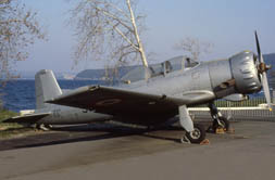 FIAT G.49