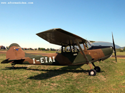 CESSNA 305C (L-19)