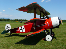 FOKKER DR.I M (REPLICA)